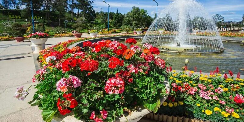 парк цветов в далате, вьетнам
